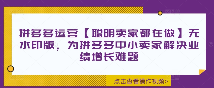 （第11322期）拼多多运营【聪明卖家都在做】无水印版，为拼多多中小卖家解决业绩增长难题