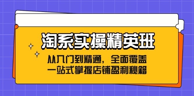 （第11343期）淘系实操精英班：从入门到精通，全面覆盖，一站式掌握店铺盈利秘籍