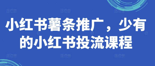 （第11361期）小红书薯条推广，少有的小红书投流课程