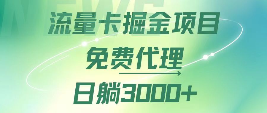 （第11409期）流量卡掘金代理，日躺赚3000+，变现暴力，多种推广途径