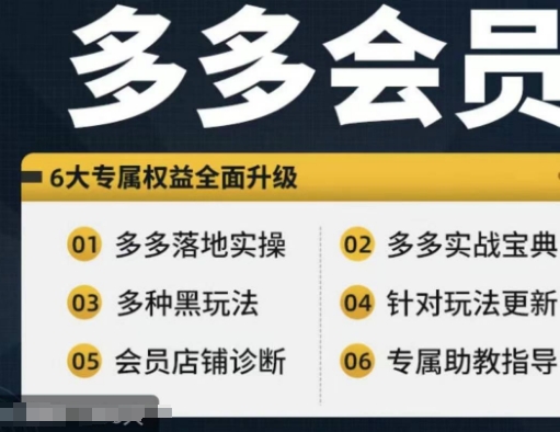 （第10946期）拼多多会员，拼多多实战宝典+实战落地实操，从新手到高阶内容全面覆盖