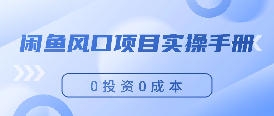 （第10718期）闲鱼风口项目实操手册，0投资0成本，让你做到，月入过万，新手可做