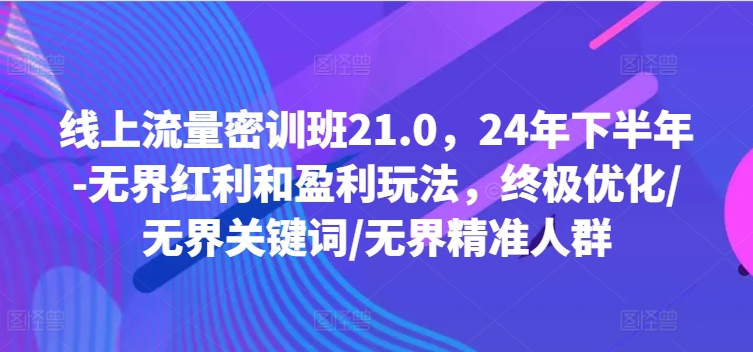 （第11169期）线上流量密训班21.0，24年下半年-无界红利和盈利玩法，终极优化/无界关键词/无界精准人群