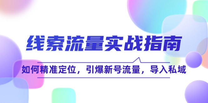 （第11507期）线 索 流 量-实战指南：如何精准定位，引爆新号流量，导入私域