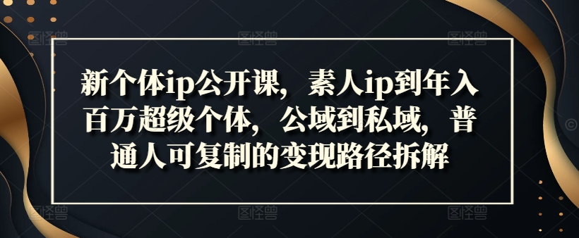 （第10816期）新个体ip公开课，素人ip到年入百万超级个体，公域到私域，普通人可复制的变现路径拆解