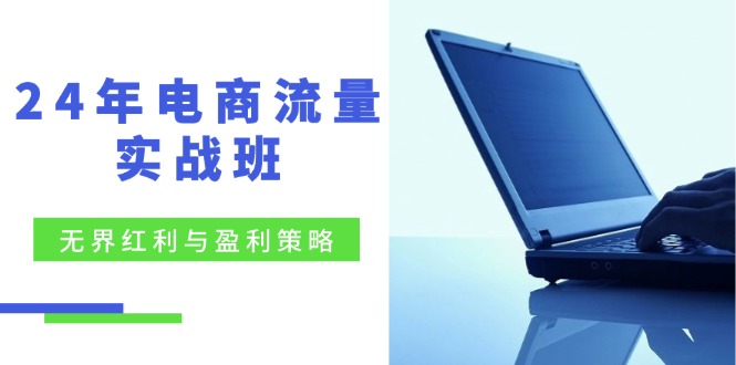 （第11181期）24年电商流量实战班：无界 红利与盈利策略，终极提升/关键词优化/精准…