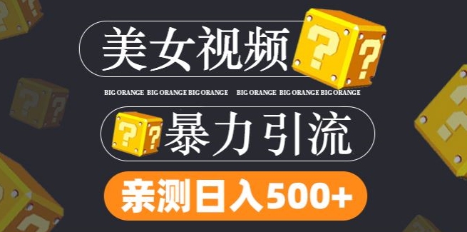 （第11103期）搬运tk美女视频全网分发，日引s粉300+，轻松变现，不限流量不封号