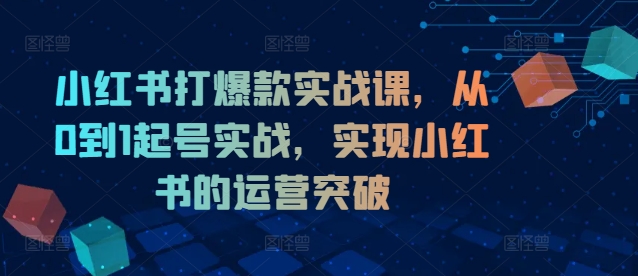 （第11226期）小红书打爆款实战课，从0到1起号实战，实现小红书的运营突破