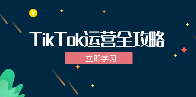 （第12018期）TikTok实战运营全攻略：从下载软件到变现，抖音海外版实操教程