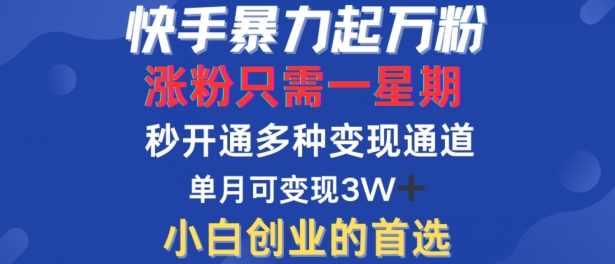 （第12188期）快手暴力起万粉，涨粉只需一星期，多种变现模式，直接秒开万合，单月变现过W