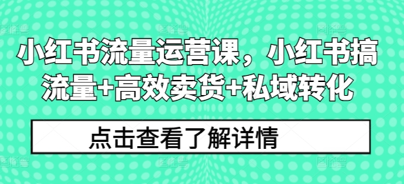 （第11566期）小红书流量运营课，小红书搞流量+高效卖货+私域转化