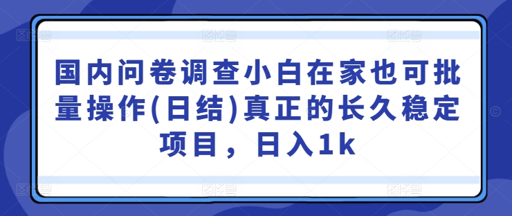 （第11855期）国内问卷调查小白在家也可批量操作(日结)真正的长久稳定项目，日入1k