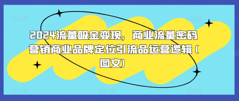 （第12641期）2024流量吸金变现，商业流量密码营销商业品牌定位引流品运营逻辑(图文)