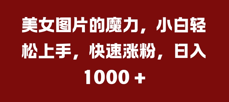 （第12872期）美女图片的魔力，小白轻松上手，快速涨粉，日入几张