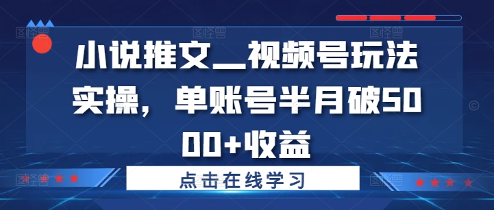 （第12208期）小说推文—视频号玩法实操，单账号半月破5000+收益