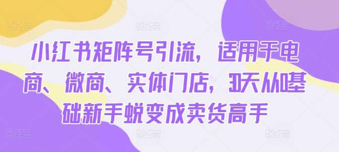 （第12457期）小红书矩阵号引流，适用于电商、微商、实体门店，30天从0基础新手蜕变成卖货高手