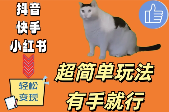 （第12326期）超简单玩法，有手就行，靠猫咪视频日入500+