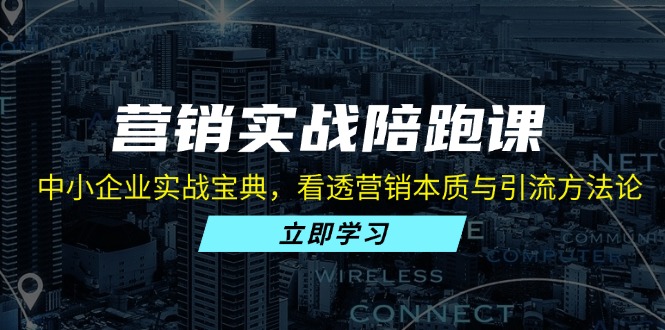 （第12834期）营销实战陪跑课：中小企业实战宝典，看透营销本质与引流方法论