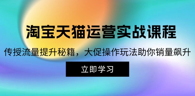 （第12501期）淘宝&天猫运营实战课程，传授流量提升秘籍，大促操作玩法助你销量飙升