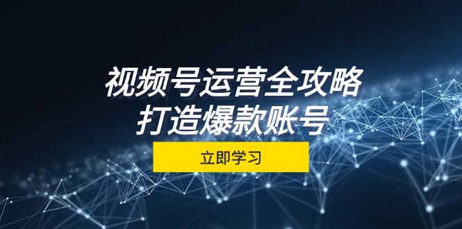 （第12413期）视频号运营全攻略，从定位到成交一站式学习，视频号核心秘诀，打造爆款…