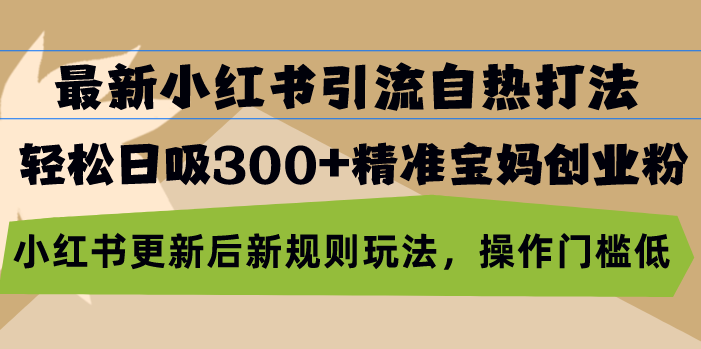 （第12833期）最新小红书引流自热打法，轻松日吸300+精准宝妈创业粉，小红书更新后新…