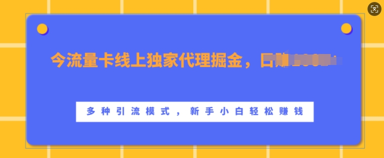 （第12888期）流量卡线上独家代理掘金，日入1k+ ，多种引流模式，新手小白轻松上手