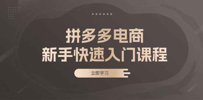 （第13152期）拼多多电商新手快速入门课程：涵盖基础、实战与选款，助力小白轻松上手