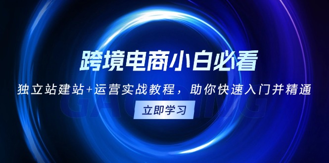 （第13618期）跨境电商小白必看！独立站建站+运营实战教程，助你快速入门并精通