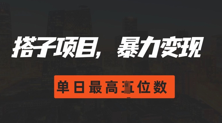 （第13304期）2024搭子玩法，0门槛，暴力变现，单日最高破四位数