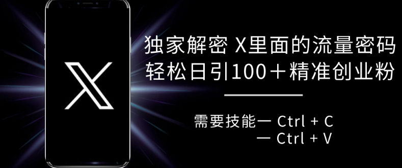 （第13194期）独家解密 X 里面的流量密码，复制粘贴轻松日引100+