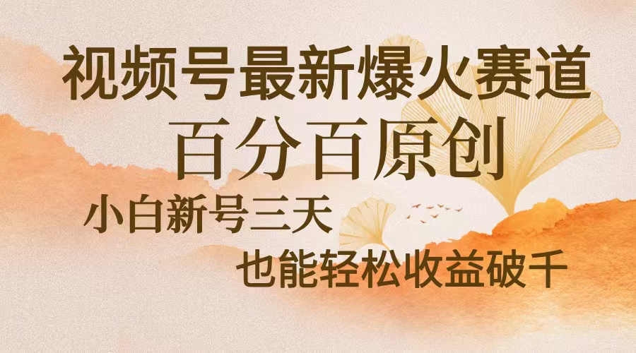 （第12996期）视频号最新爆火赛道，中老年粉深信不疑，百分百原创，新号三天收益轻松…