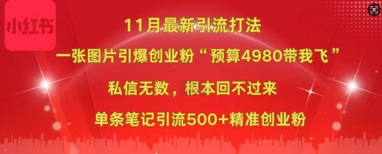 （第13216期）小红书11月最新图片打粉，一张图片引爆创业粉，“预算4980带我飞”，单条引流500+精准创业粉