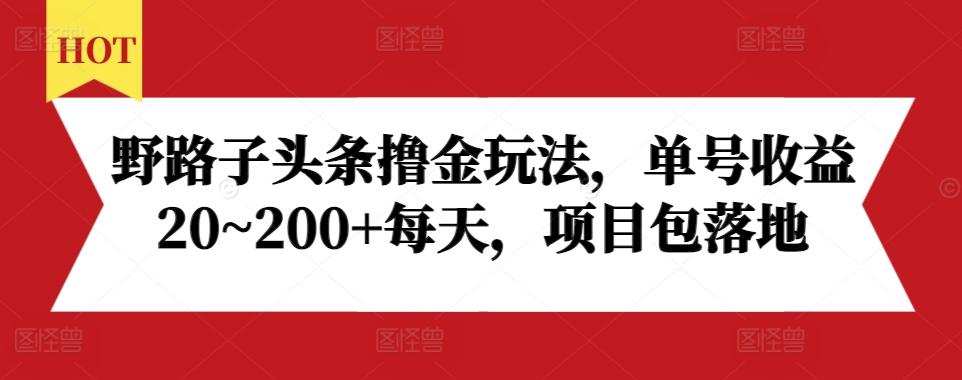 （第13559期）野路子头条撸金玩法，单号收益20~200+每天，项目包落地