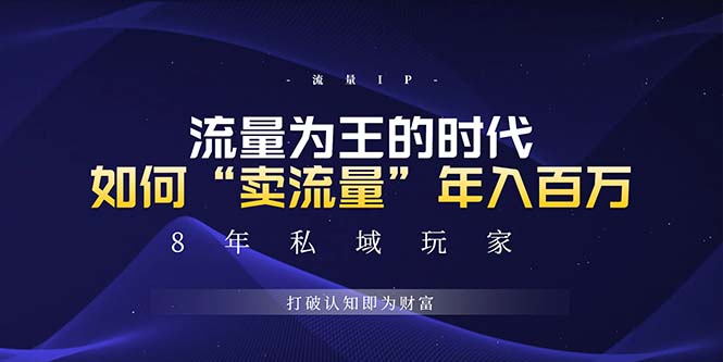 （第13471期）未来如何通过“卖流量”年入百万，跨越一切周期绝对蓝海项目