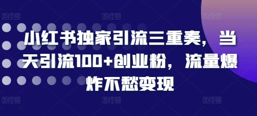 （第13561期）小红书独家引流三重奏，当天引流100+创业粉，流量爆炸不愁变现