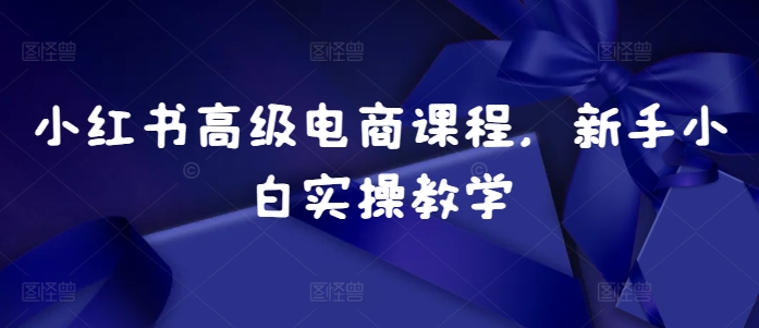 （第13172期）小红书高级电商课程，新手小白实操教学