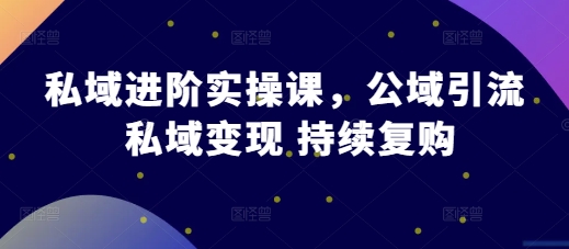 （第13424期）私域进阶实操课，公域引流 私域变现 持续复购