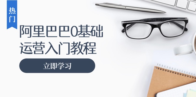 （第13155期）阿里巴巴运营零基础入门教程：涵盖开店、运营、推广，快速成为电商高手