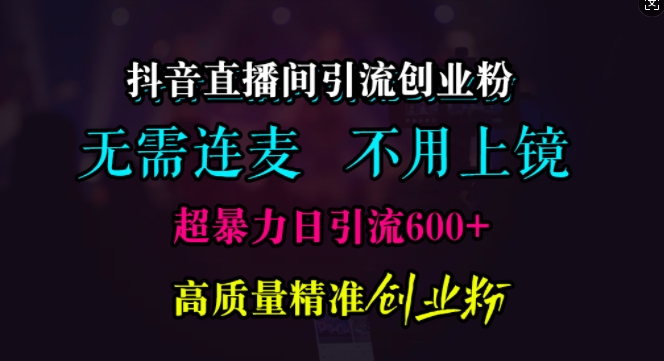 （第13208期）抖音直播间引流创业粉，无需连麦、无需上镜，超暴力日引流600+高质量精准创业粉