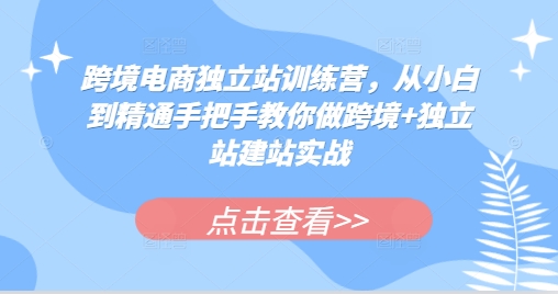 （第13610期）跨境电商独立站训练营，从小白到精通手把手教你做跨境+独立站建站实战