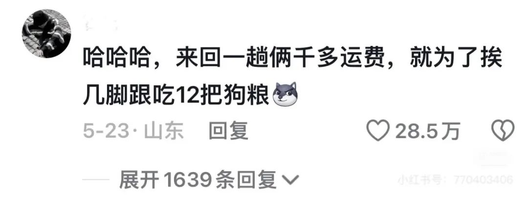 案例 | 抽象训狗竟涨粉百万？！——解析“宠物博主”潘宏爱玩狗