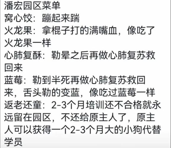 案例 | 抽象训狗竟涨粉百万？！——解析“宠物博主”潘宏爱玩狗