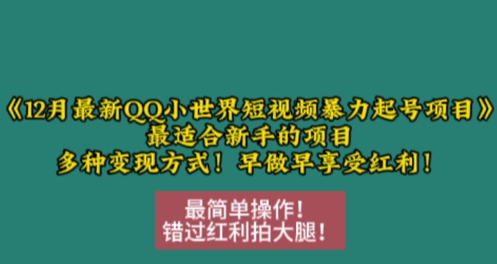 （第13787期）12月最新QQ小世界短视频暴力起号项目，最适合新手的项目，多种变现方式