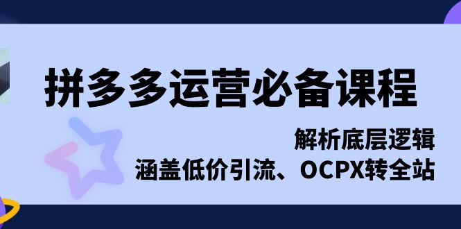 （第14055期）拼多多运营必备课程，解析底层逻辑，涵盖低价引流、OCPX转全站