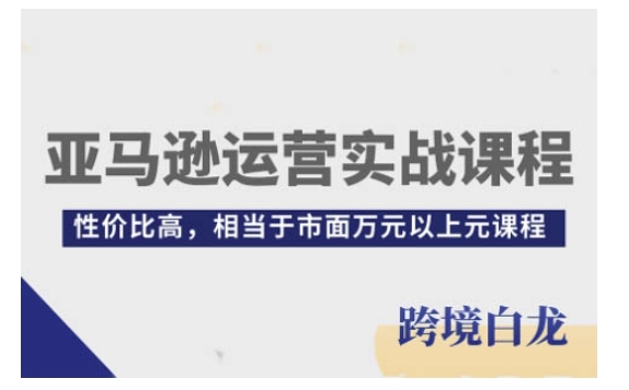 （第14248期）亚马逊运营实战课程，亚马逊从入门到精通，性价比高，相当于市面万元以上元课程