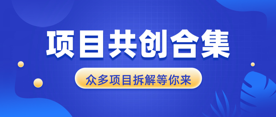 （第14212期）项目共创合集，从0-1全过程拆解，让你迅速找到适合自已的项目