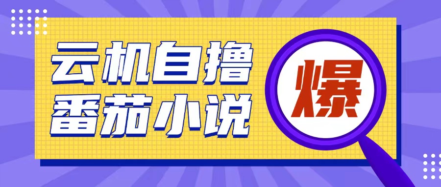 （第14097期）首发云手机自撸小说玩法，10块钱成本可撸200+收益操作简单