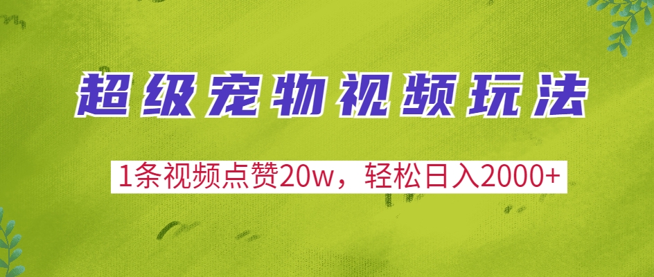 （第13761期）超级宠物视频玩法，1条视频点赞20w，轻松日入2000+