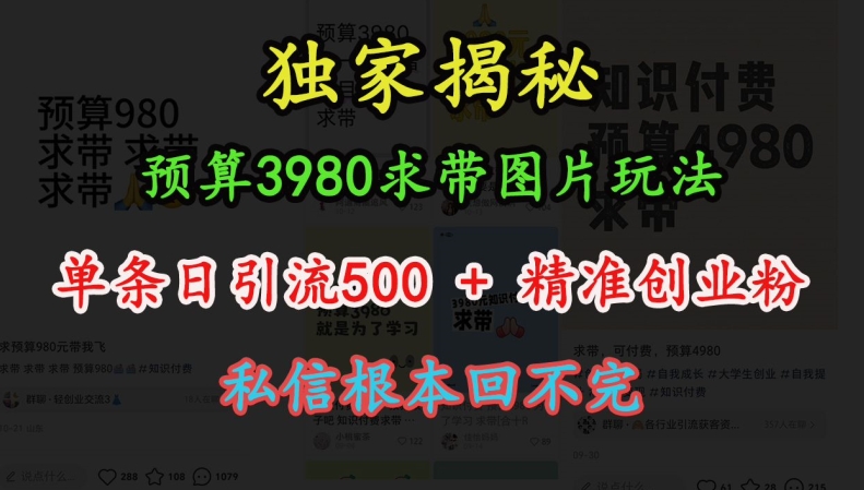 （第13741期）预算3980求带 图片玩法，单条日引流500+精准创业粉，私信根本回不完