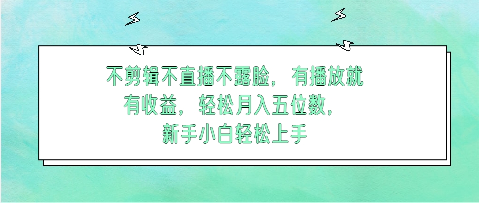 （第13983期）不剪辑不直播不露脸，有播放就有收益，轻松月入五位数，新手小白轻松上手